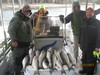 (10/27/2017) - Nice Striped Bass